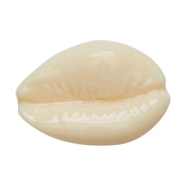 Jibbitz crocs puka shell