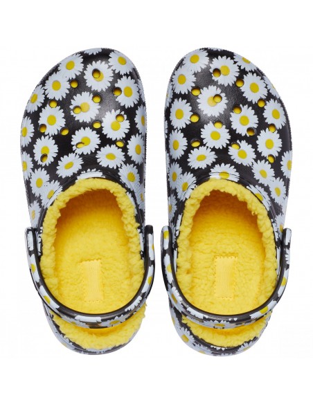 Negru - Black Daisy