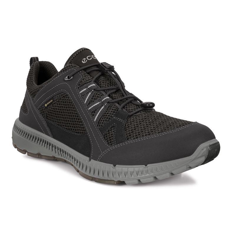 Pantofi ecco men's terracruise ii gore-tex