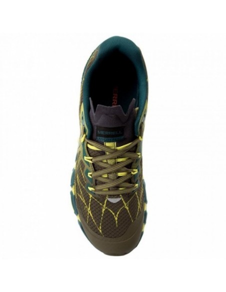 Verde - Olive
