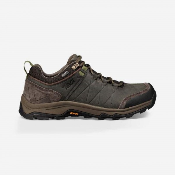 Verde - Black Olive