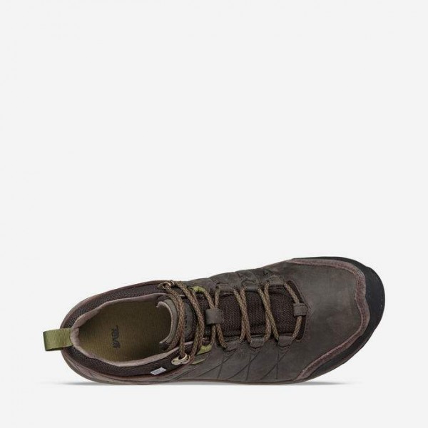 Verde - Black Olive