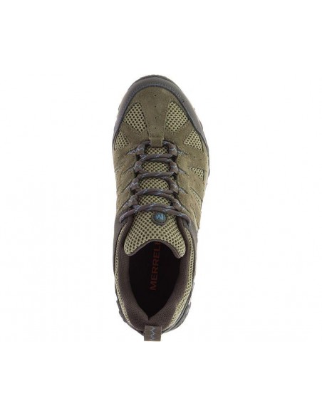 Verde - Olive