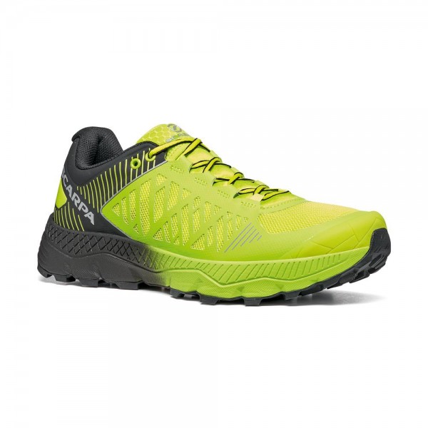 Galben - Acid Lime/Black