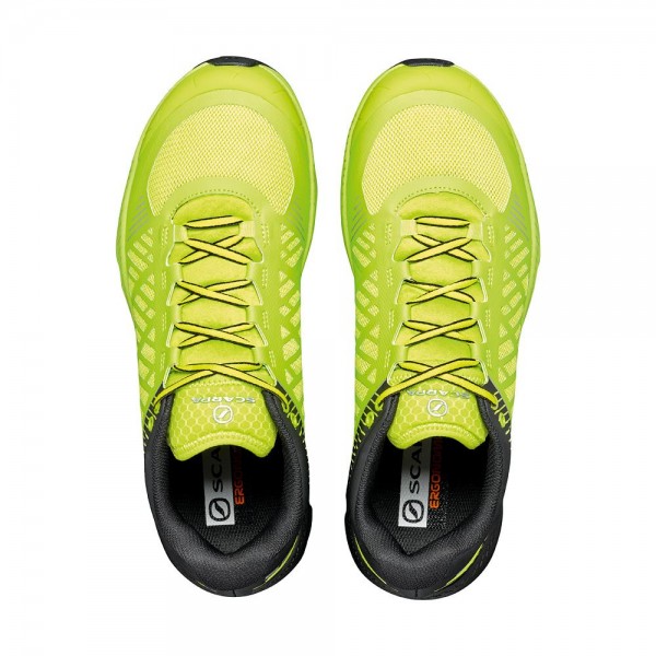 Galben - Acid Lime/Black