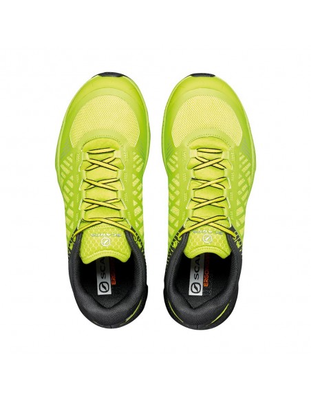 Galben - Acid Lime/Black