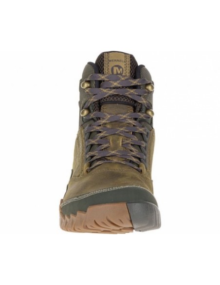 Verde - Olive