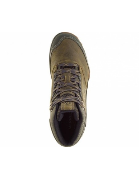 Verde - Olive