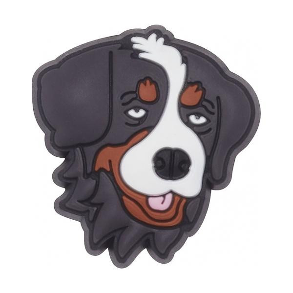 Jibbitz crocs bernese mountain dog