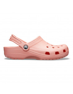Pepene galben - Melon