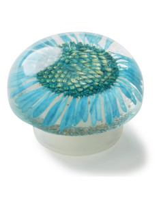 Jibbitz Crocs Encapsulated... Albastru - Blue 2