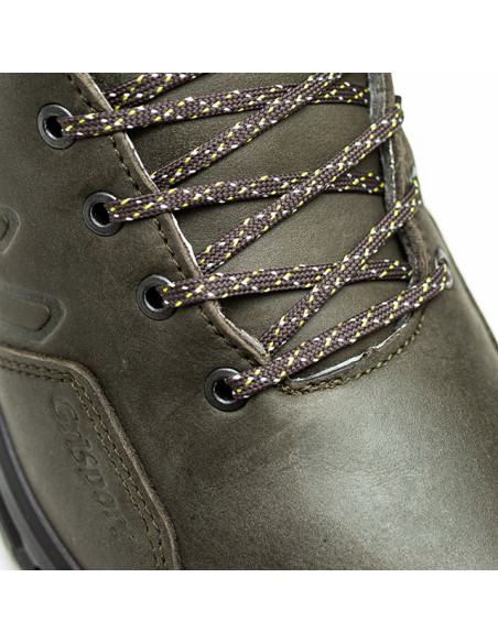 Verde - Olive