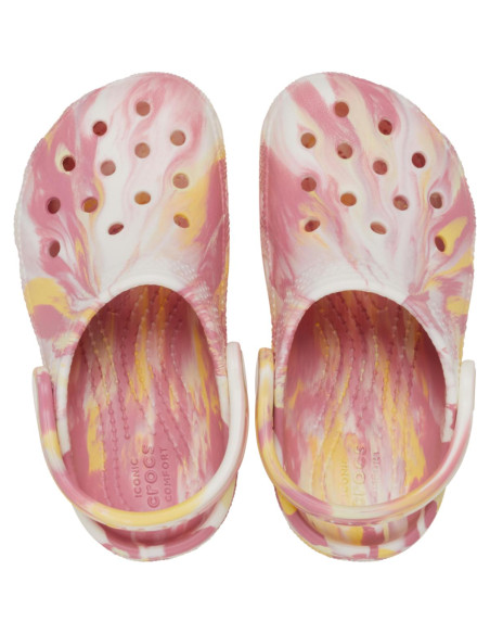 Multicolor - Daylily/Multi