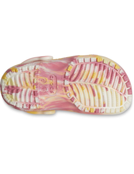 Multicolor - Daylily/Multi